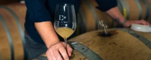 Common sense winemaking