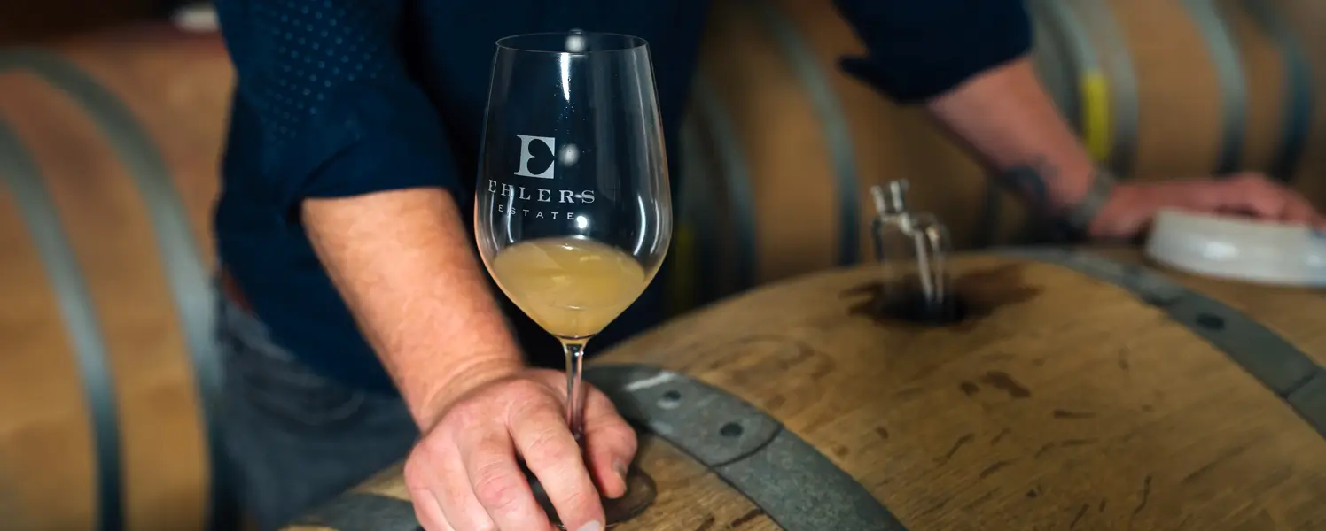 Common sense winemaking