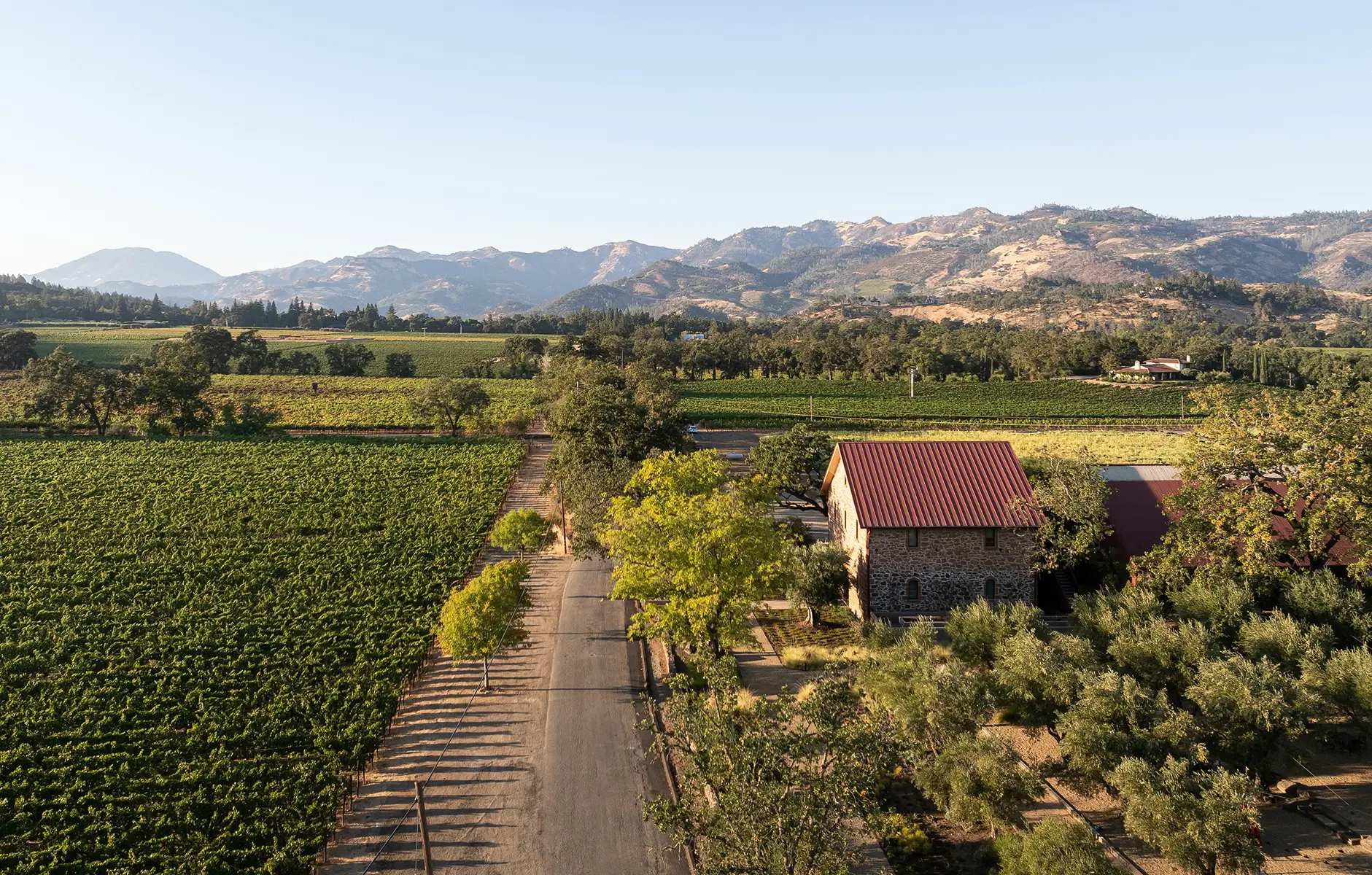 40 acres of winegrowing excellence